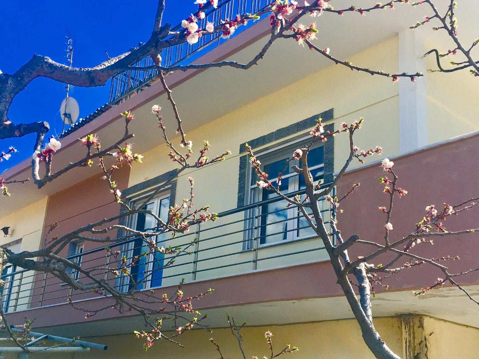 Relax Home Vacation Néa Péramos المظهر الخارجي الصورة